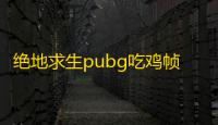 绝地求生pubg吃鸡帧数低/掉帧/画面卡顿/延迟高解决方法